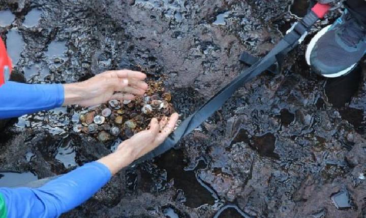 158 quilos de moedas foram retirados do Rio Iguaçu, nas Cataratas do Iguaçu