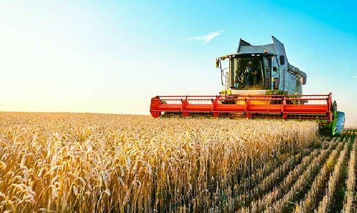 2º estado mais “agro” do país, Paraná vê fome bater à porta de mais de 50% dos lares