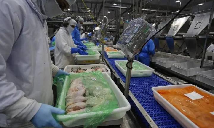 Abates de frango aumentam 4,7% no Paraná, diz Deral