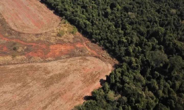 Aceleração do desmatamento deixa o Brasil propício para uma nova pandemia, dizem especialistas