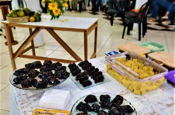 Galeria de Imagem