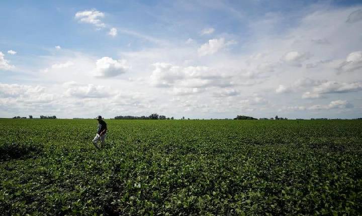 Agropecuária se recupera de impactos climáticos e deve manter números fortes, dizem especialistas