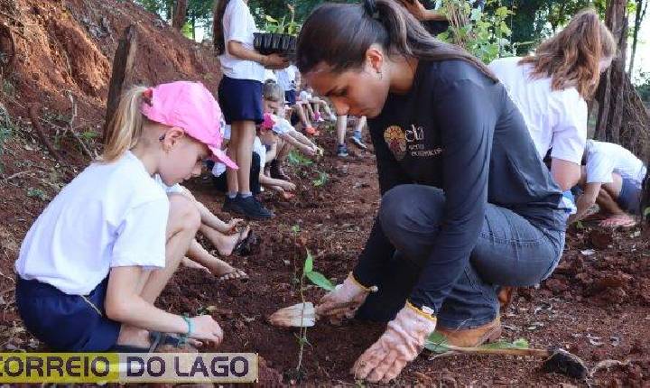 Alunos plantam árvores em Projeto em distrito de Santa Helena