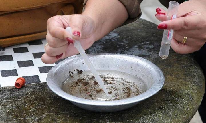 Ano epidemiológico da dengue chega ao fim com mais de 135 mil casos no Paraná