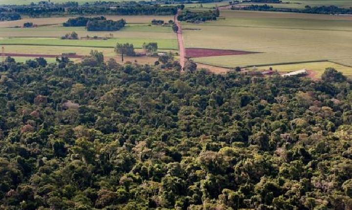 Aprovado o regime de urgência para criação da Estrada Parque do Colono