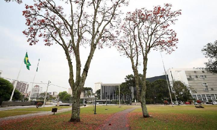 Assembleia volta a debater prorrogação do Estado de Calamidade Pública no Paraná