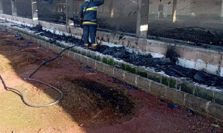 Aves morrerem carbonizadas durante incêndio em aviário no interior de Santa Helena