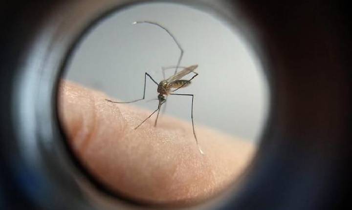 Boletim confirma mais 27 mil casos e 38 mortes por dengue no Paraná