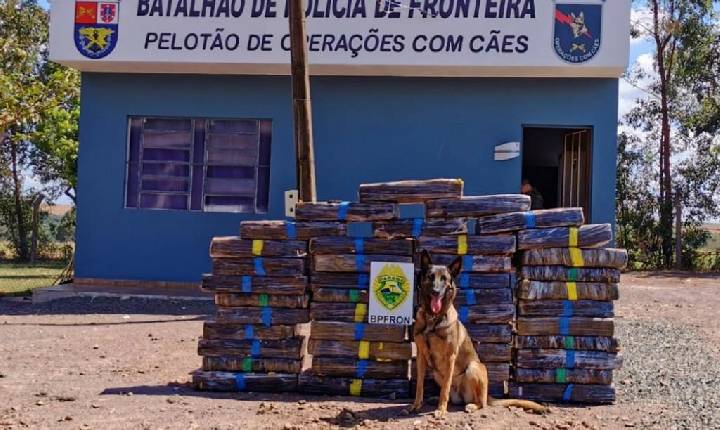 BPFron apreende diversos tabletes de maconha no interior de Santa Helena