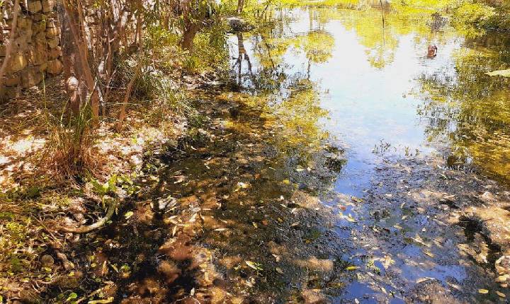 Brasil desperdiça 40% da água potável captada em mananciais