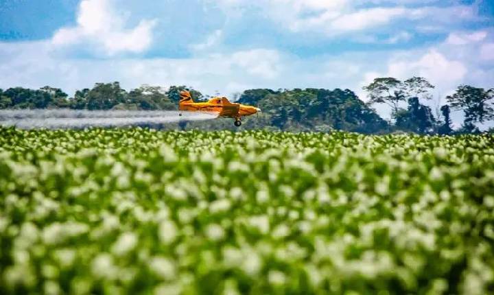 Brasil usa mais agrotóxicos que Estados Unidos e China juntos