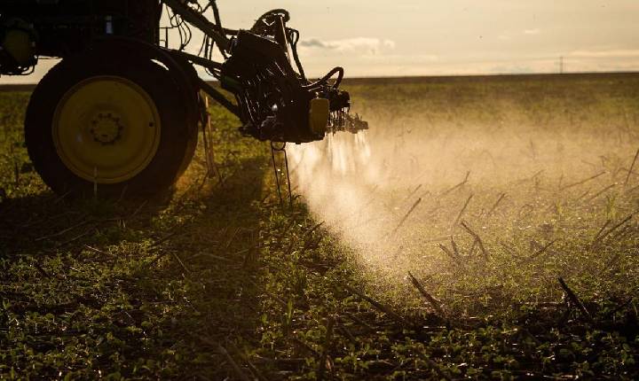 Campanha denuncia privilégios dos super-ricos do agronegócio