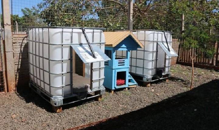 Canil Municipal de Santa Helena recebe novas casinhas para abrigar animais