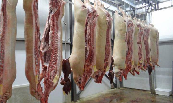 Carne suína: Brasil deve produzir mais este ano do que em 2022