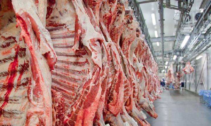 China libera carne bovina do Brasil certificada até o dia 4 de setembro