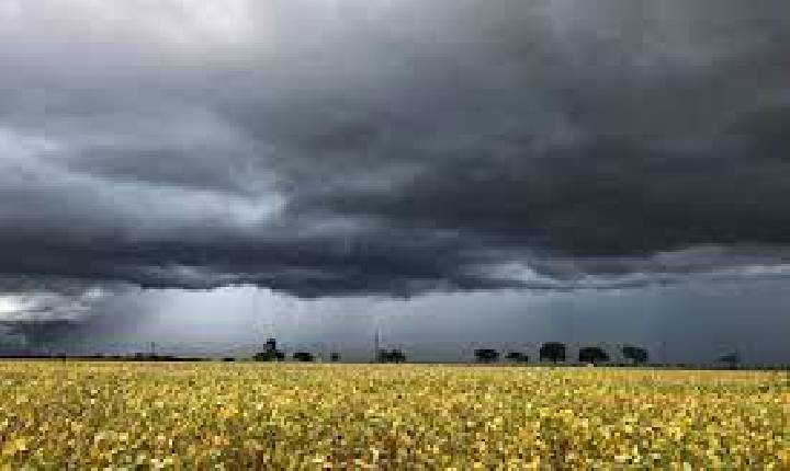 Chuva impede colheita da soja e produtores já contabilizam prejuízos no oeste