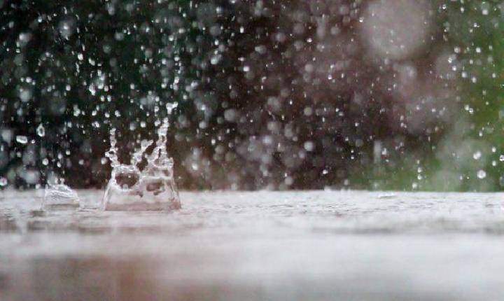 Chuvas em setembro podem impactar nas plantações de grãos e folhosas no Paraná