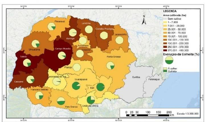 Clima ainda limita avanço da colheita do milho no Paraná, relata Deral