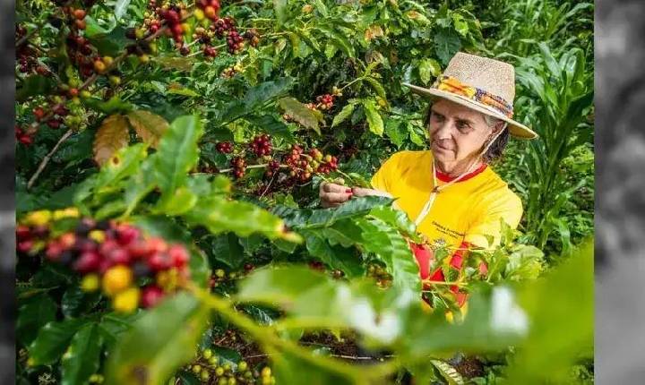 Comissão aprova maior prazo para quitar financiamento rural