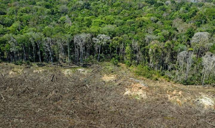 Comissão Europeia indica que mudança em regras ambientais no Brasil prejudicará acordo UE-Mercosul