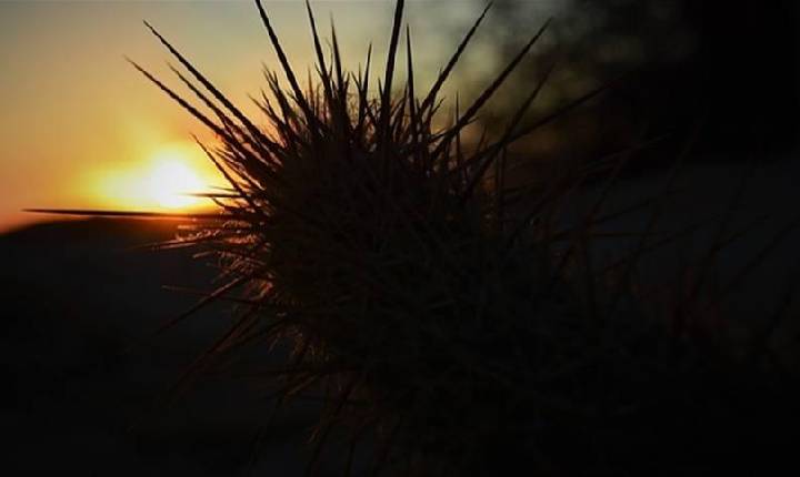 Como será o clima em abril?