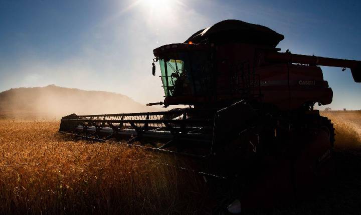 Conexão Agro: Fenômeno climático La Ninã pode afetar plantios até dezembro