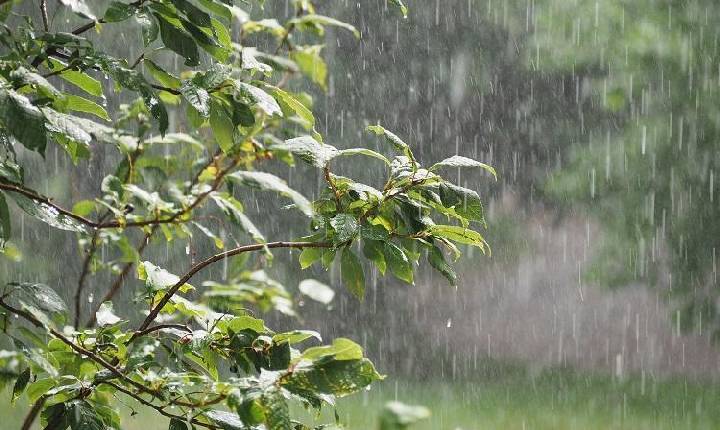 Confira a previsão do tempo para esta quinta-feira em Santa Helena