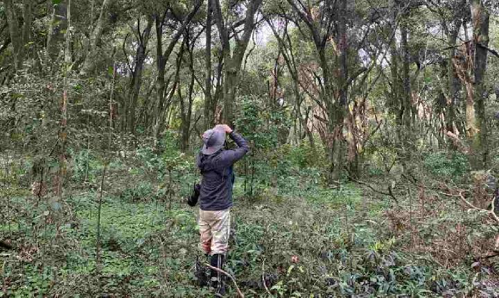 Da floresta à turbina: como a fauna ajuda a garantir água limpa em Itaipu
