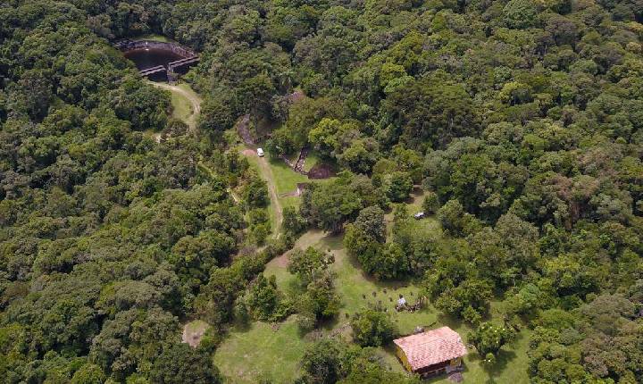 Desmatamento da Mata Atlântica cai 64% em um ano no Paraná