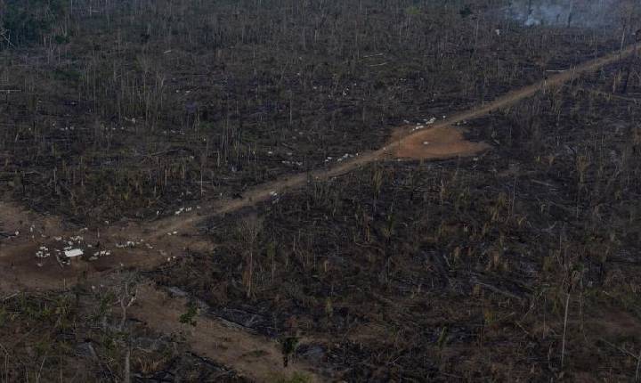 Desmatamento na Amazônia bate recorde em setembro, aponta Inpe