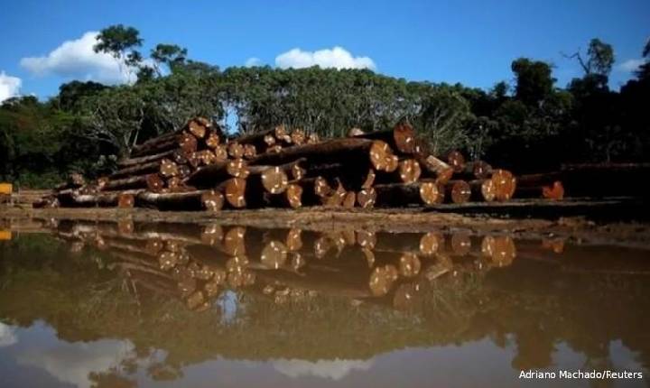 Desmatar Amazônia vai gerar prejuízo de US$ 1 bi por ano para agricultura