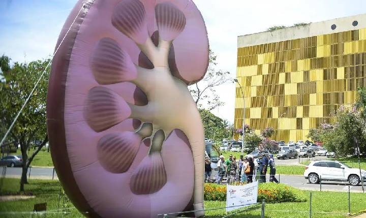 Dia Mundial do Rim alerta moradores de Santa Helena sobre doenças renais silenciosas