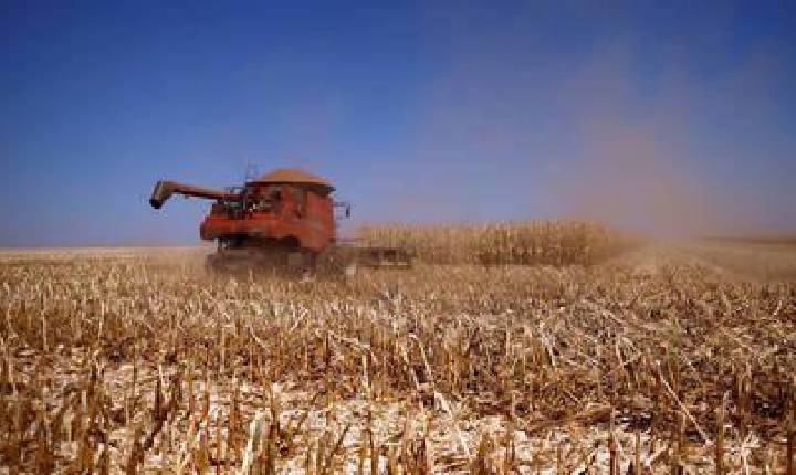 Economia brasileira cresce em ritmo menor, mas registra segunda alta seguida em julho