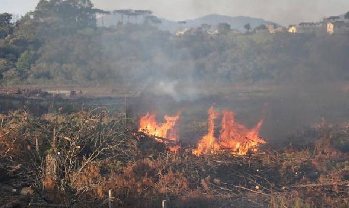 Em mês seco e quente, incêndios ambientais quadruplicam no Paraná