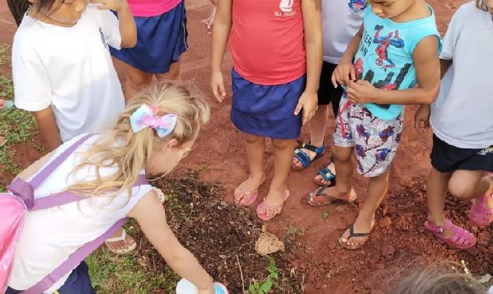 Escolas aderem em peso ao SH + Verde; Vila Celeste já forma um de seus bosques