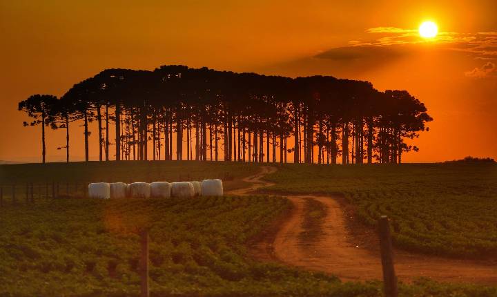 Estado lança plataforma interativa sobre riscos de grandes eventos climáticos