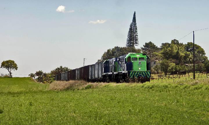 Estado vai protocolar no Ibama estudos atualizados sobre o traçado da Nova Ferroeste