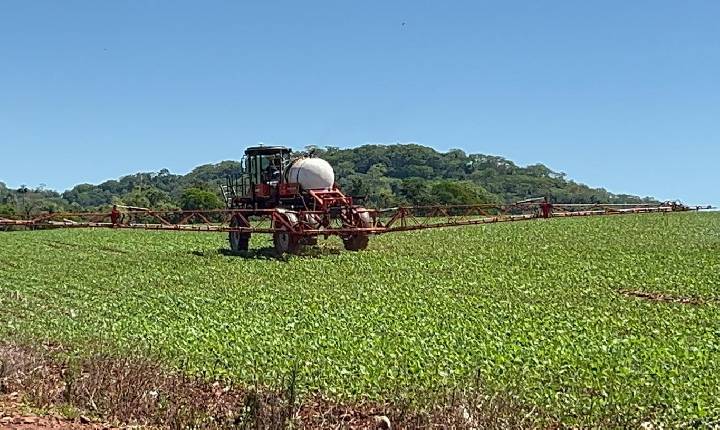 Estudo aponta aumento global na toxicidade de agrotóxicos: Caso em Santa Helena acende alerta no Oeste do Paraná
