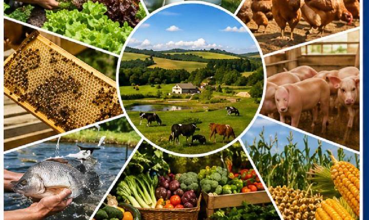 Estudo da Unioeste Toledo aponta caminhos para fortalecer agricultura familiar no Oeste do Paraná