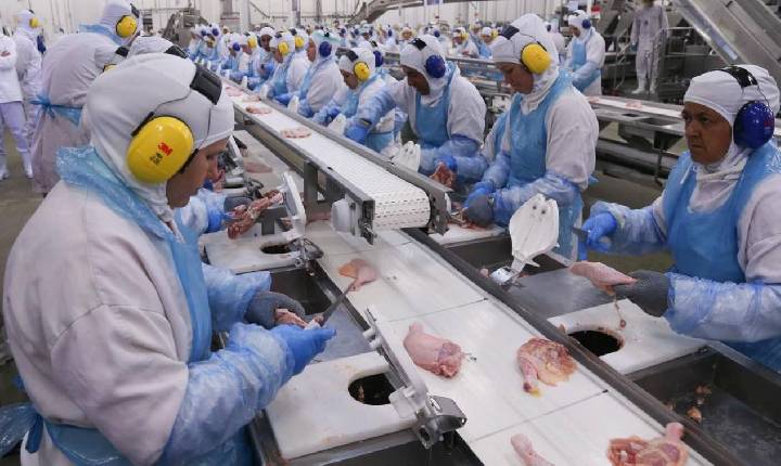 Exportação e alta demanda fazem o preço da carne de frango subir