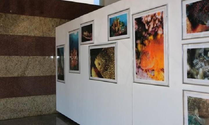 Exposição fotográfica da biodiversidade remete à preservação do meio ambiente