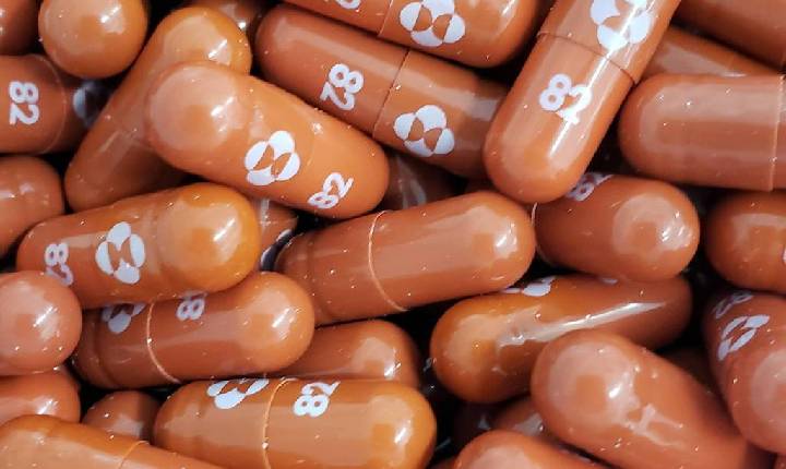 Fiocruz negocia produzir para o SUS pílula contra a Covid criada pela MSD
