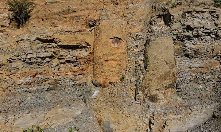 Floresta de 290 milhões de anos é descoberta no Paraná