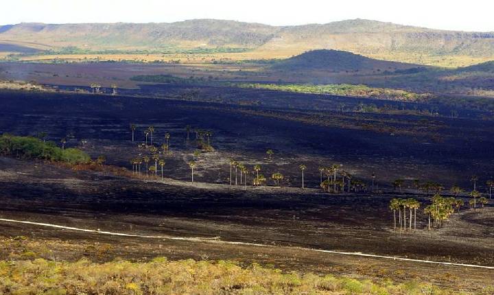 Fogo queimou um quinto do Brasil em quase quatro décadas