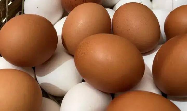 Forte demanda aumenta preço do ovo no início deste mês