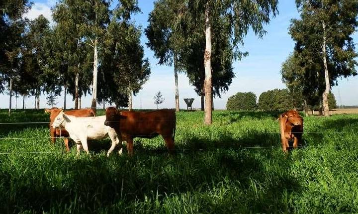 Governo do Paraná publica edital para apoiar agricultura familiar