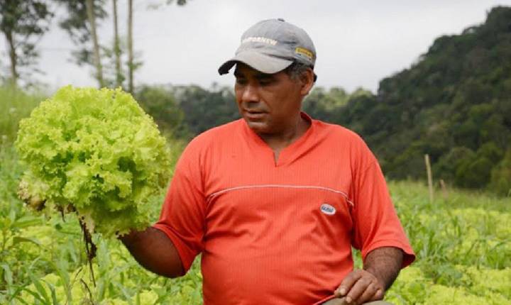 Governo Lula costura parceria com a ONU para injetar R$ 4 bi na agricultura sustentável