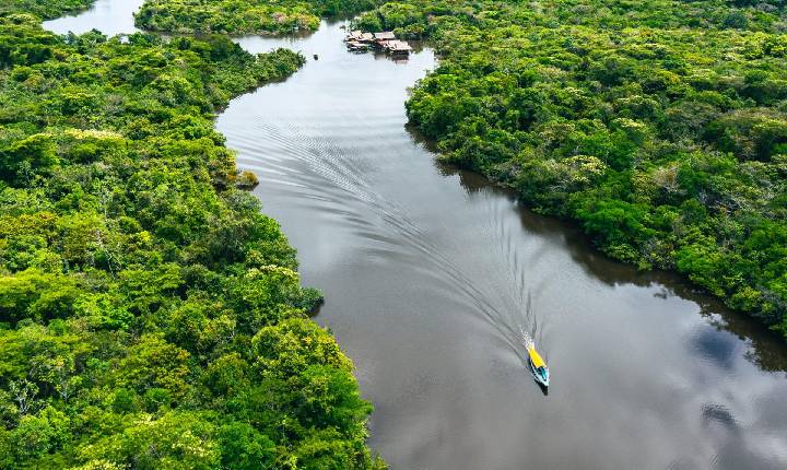 Governos reconhecem que Amazônia está próxima de ponto de ruptura
