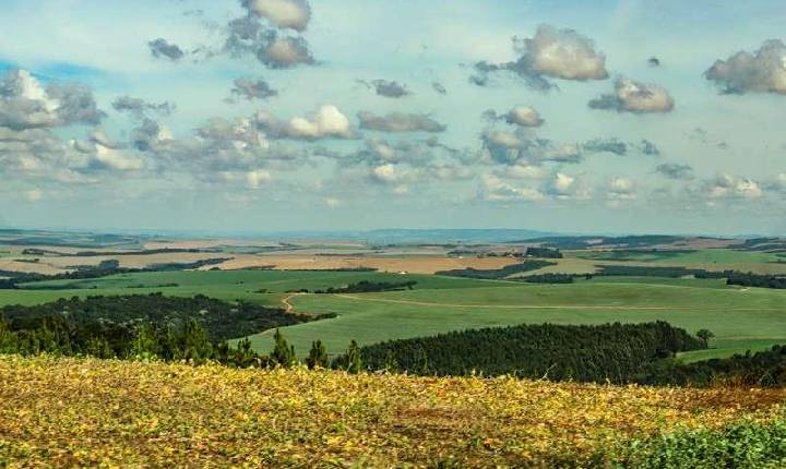 IDR-PR analisa chuvas baixas de junho e o reflexo na produção agrícola