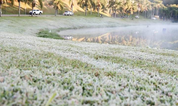 Inverno ameno e com só duas ondas de frio faz geadas ‘desaparecem’ do Paraná em 2023